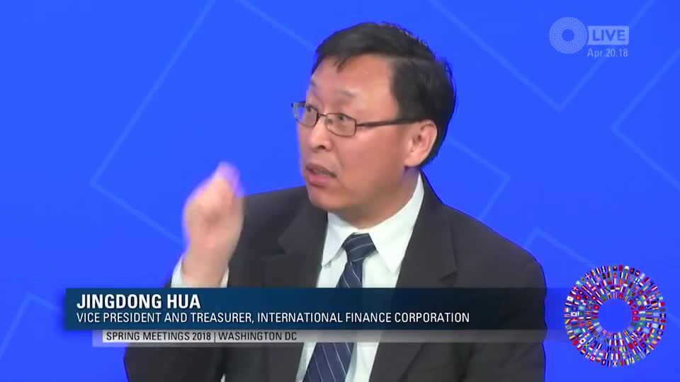 Attracting Private Investment in Sub-Saharan Africa - Clip5 Hua