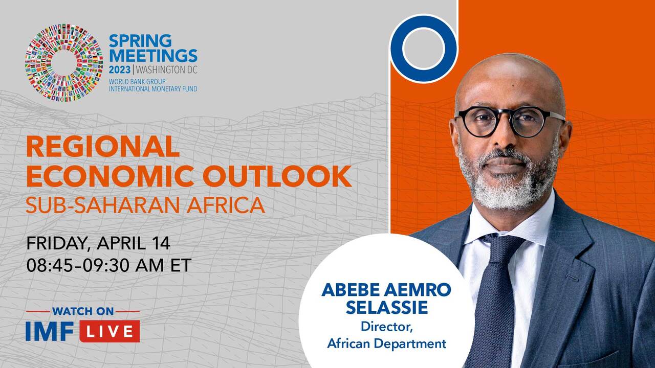 IMF Videos - Press Briefing: Regional Economic Outlook For Sub-Saharan ...