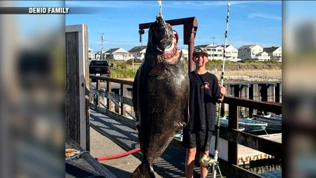 New Hampshire teen reels in 177-pound halibut while deep-sea