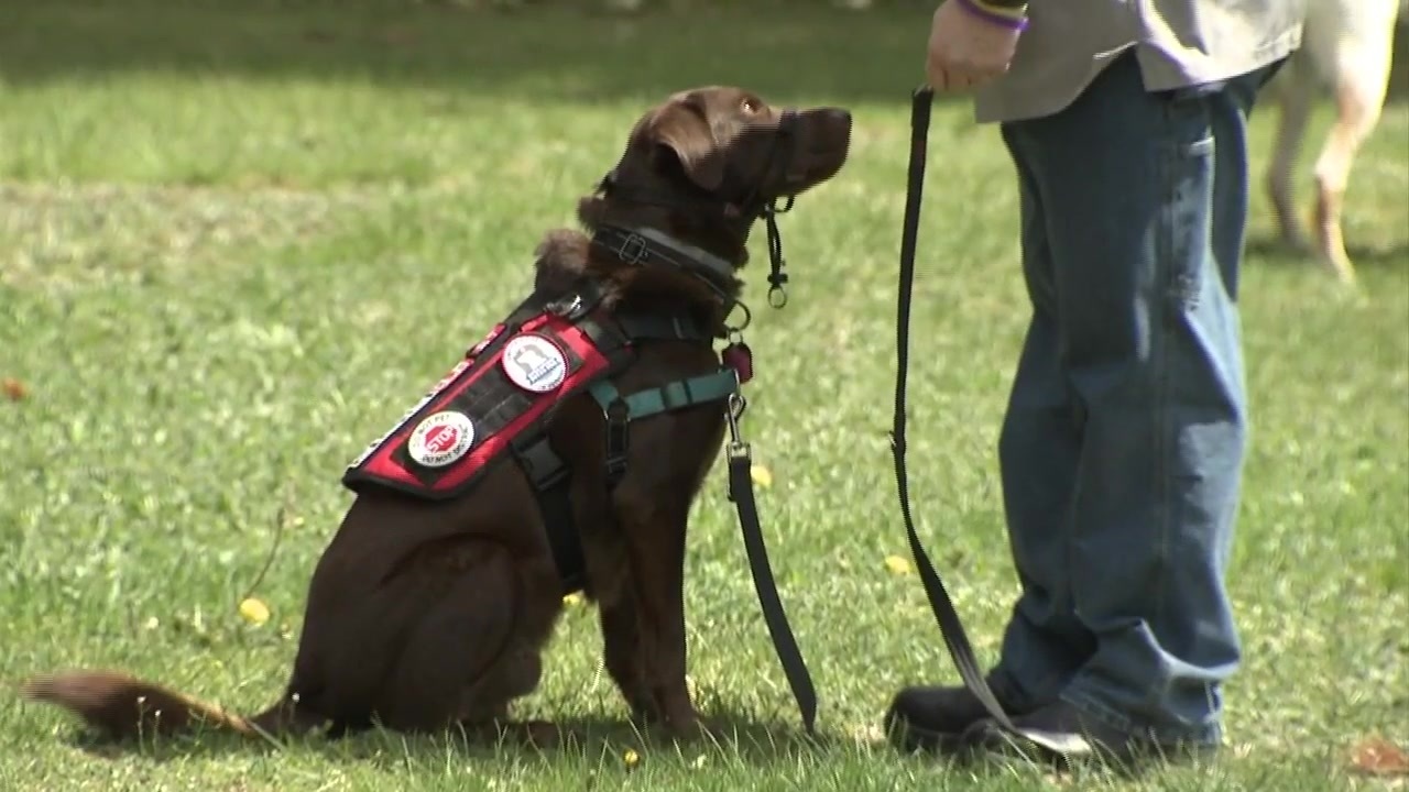 The Delta Dogs - Delta Dog  Meet the Operation Delta Dog Teams