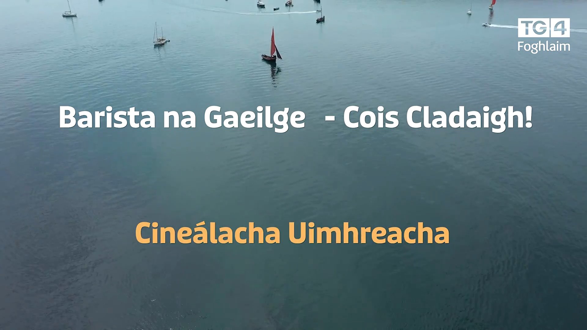 Barista na Gaeilge