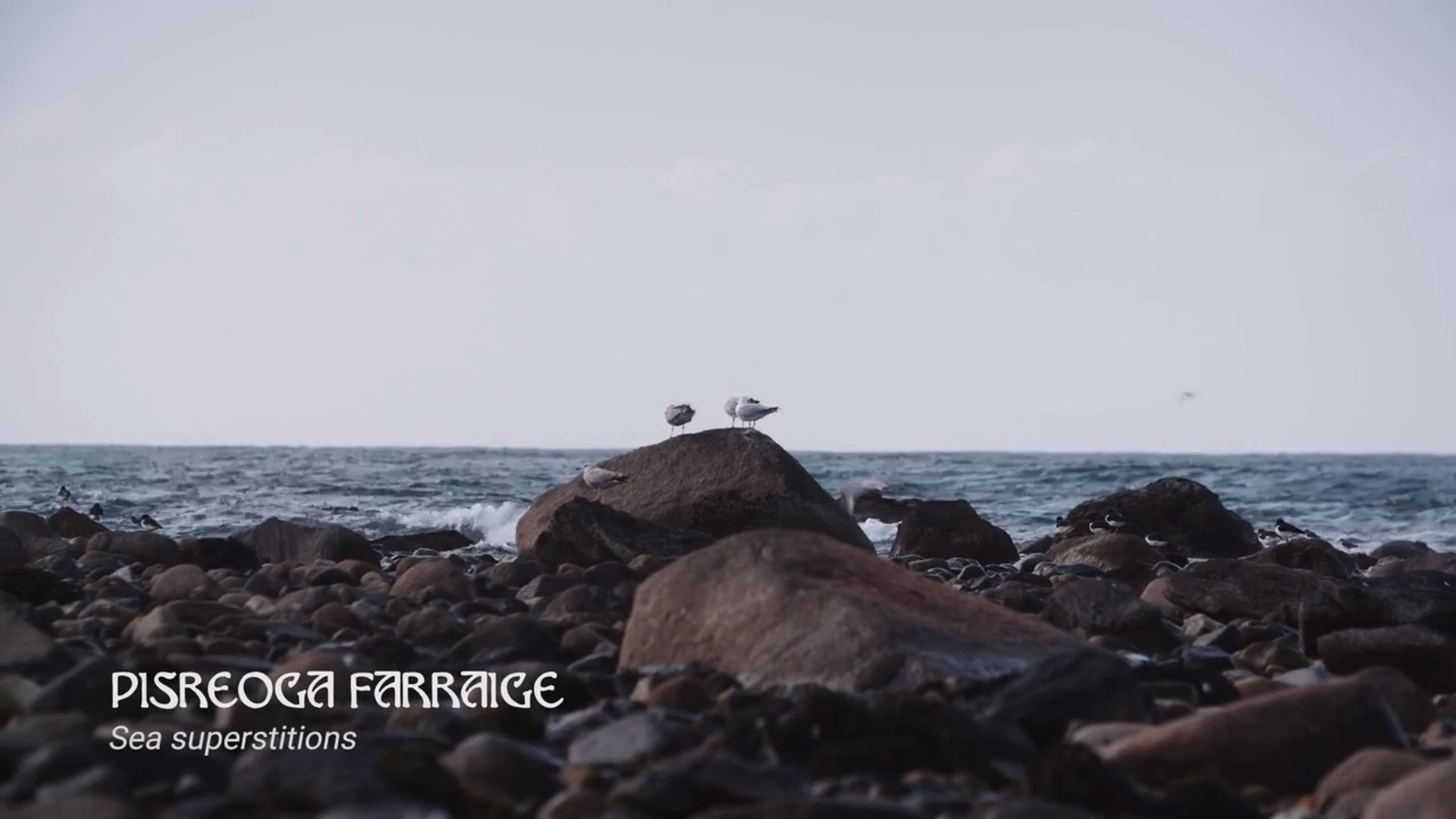 Focail Farraige