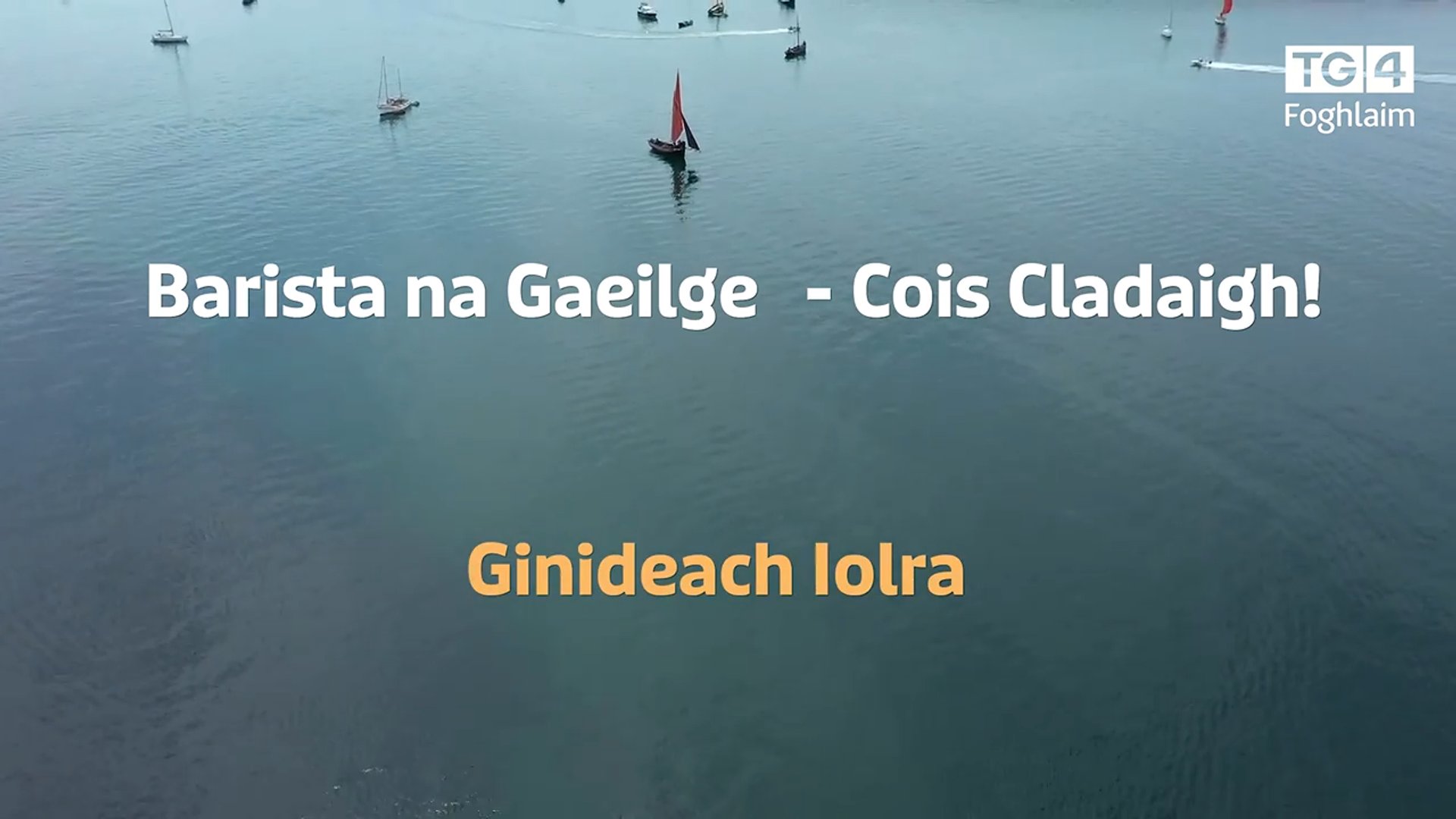 Barista na Gaeilge