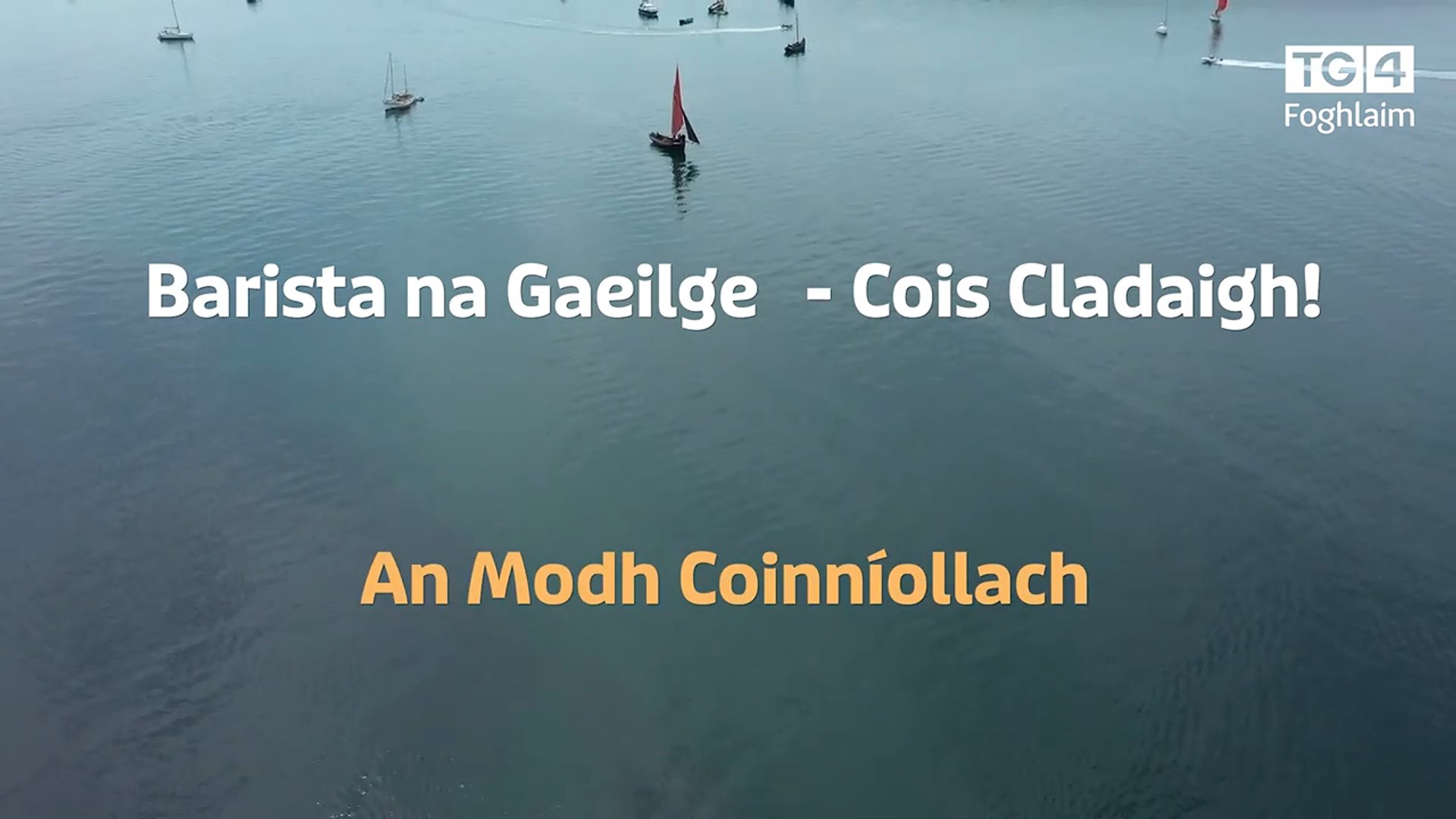 Barista na Gaeilge