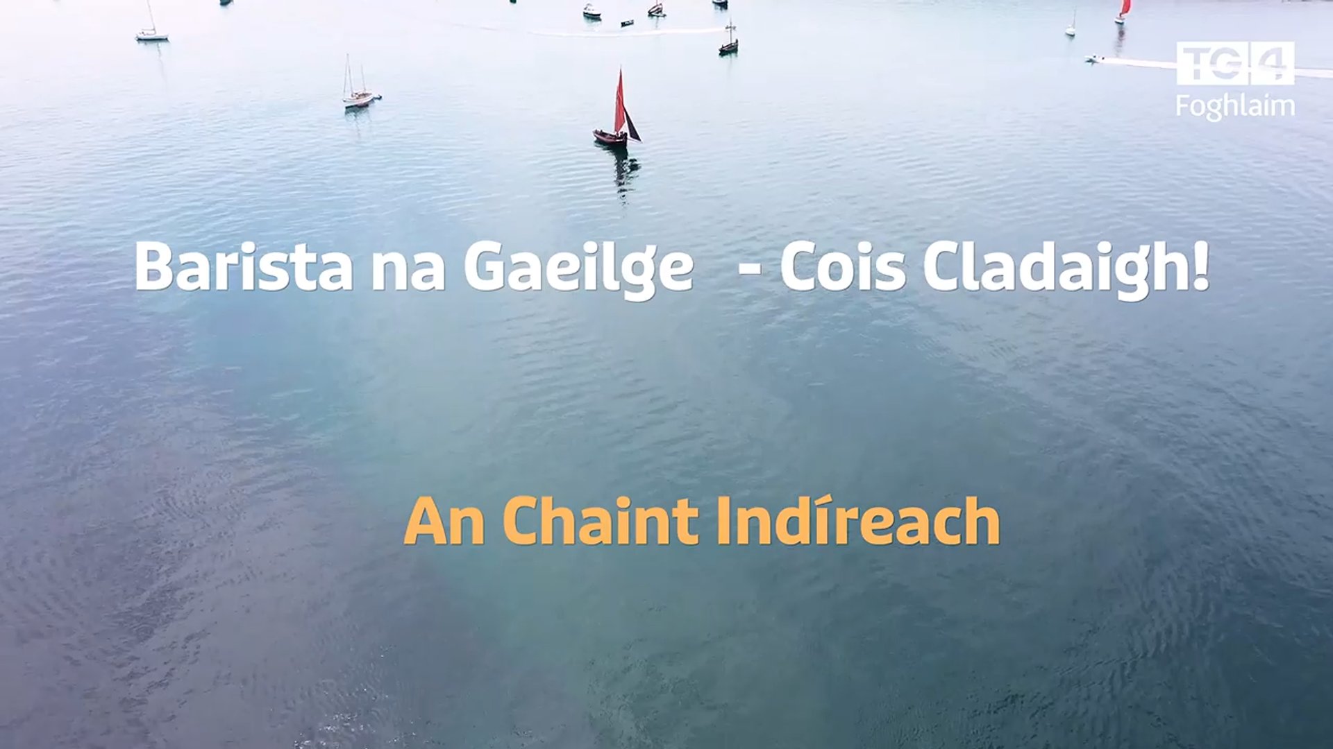 Barista na Gaeilge