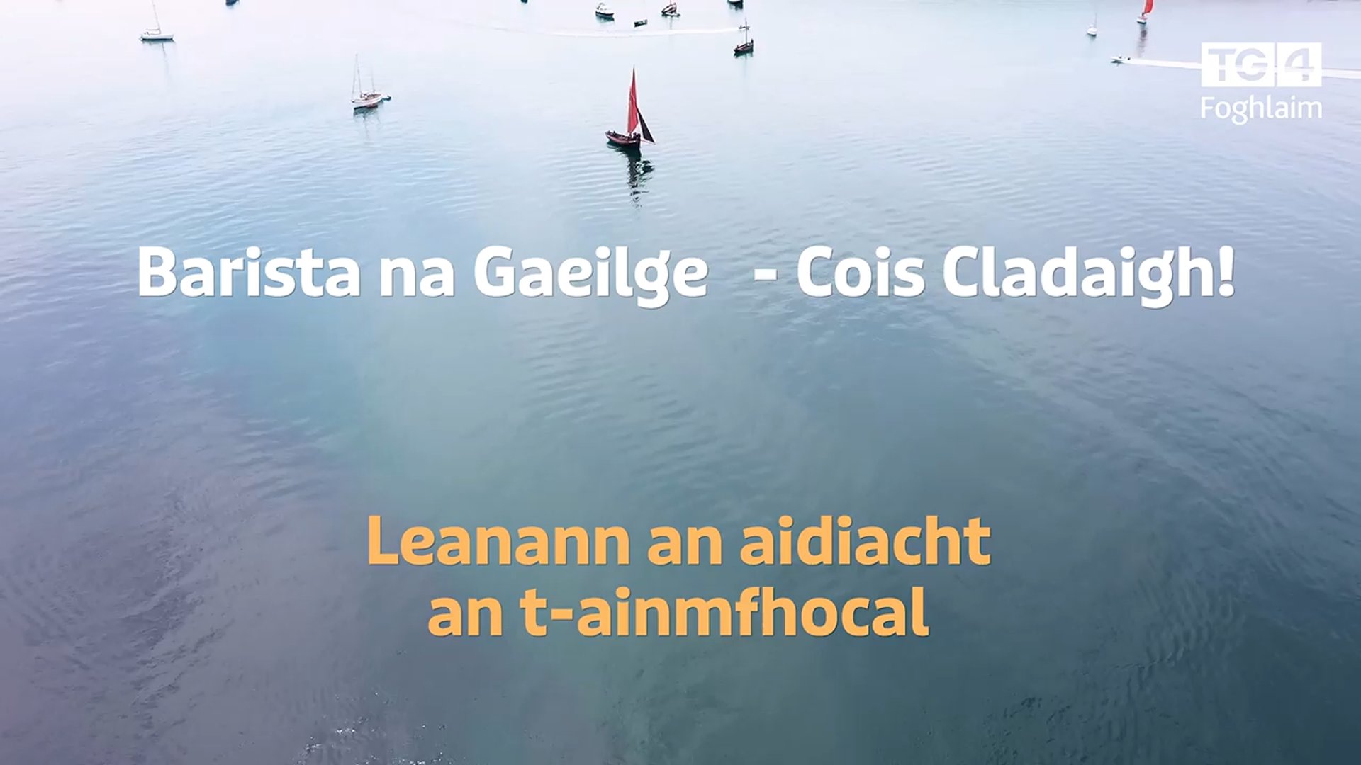 Barista na Gaeilge