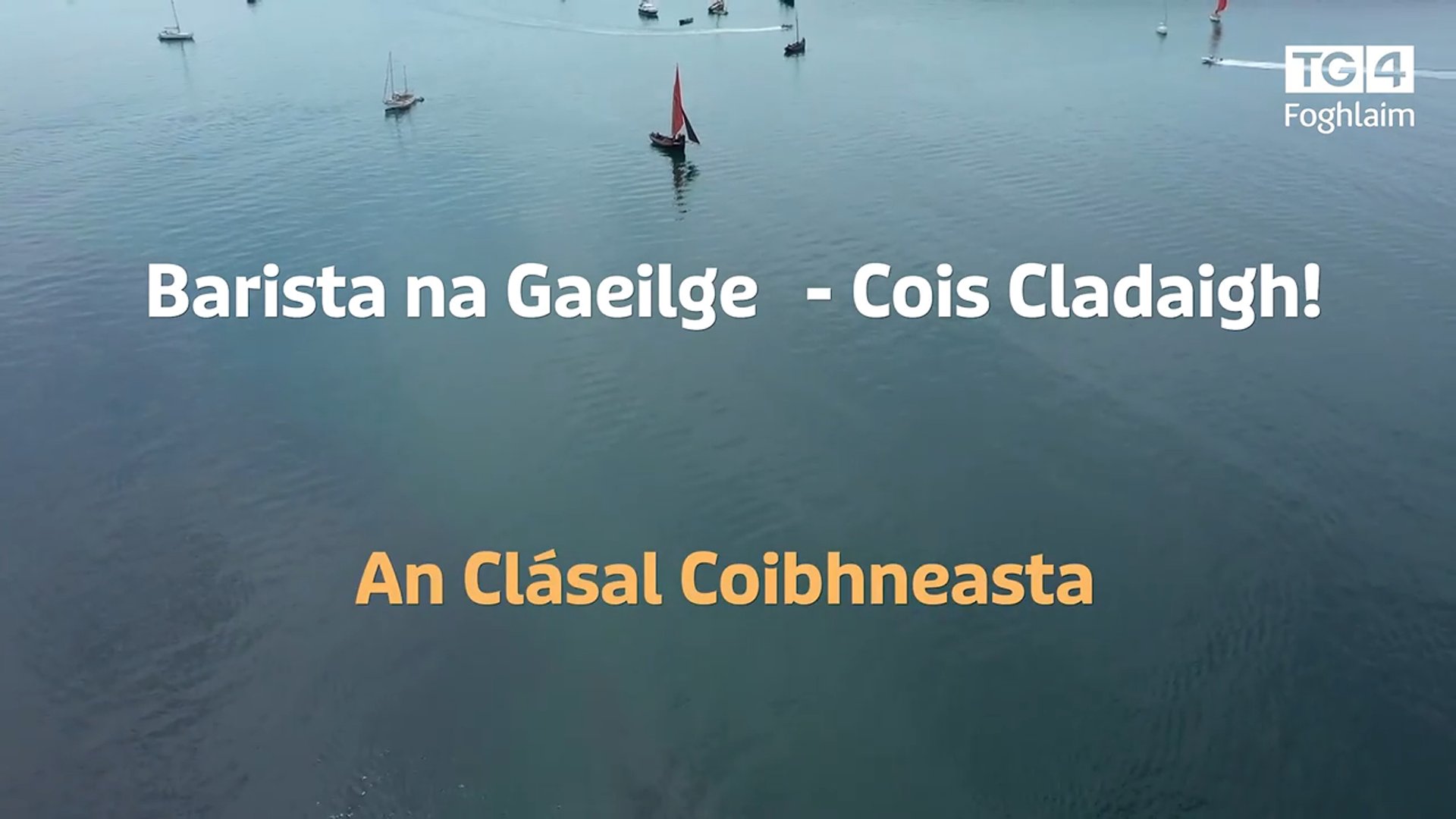 Barista na Gaeilge