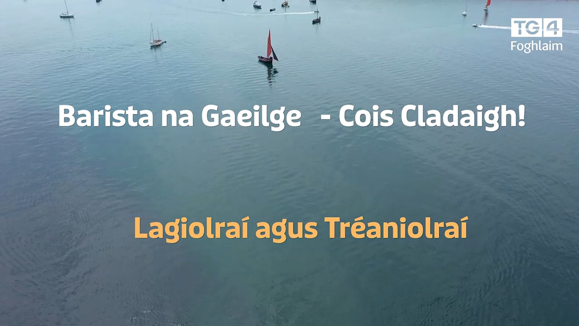 Barista na Gaeilge