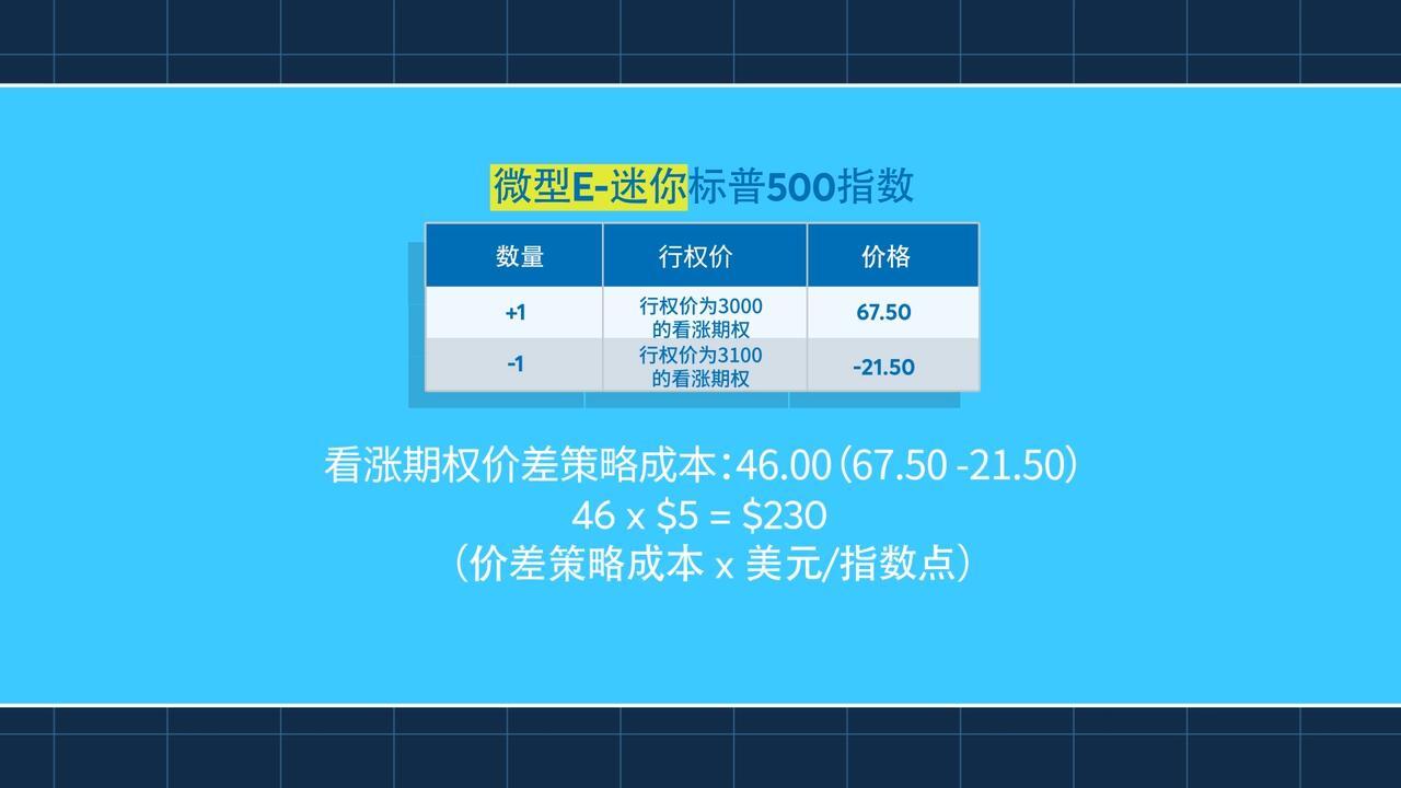 微型E-迷你股指期权策略- CME Group