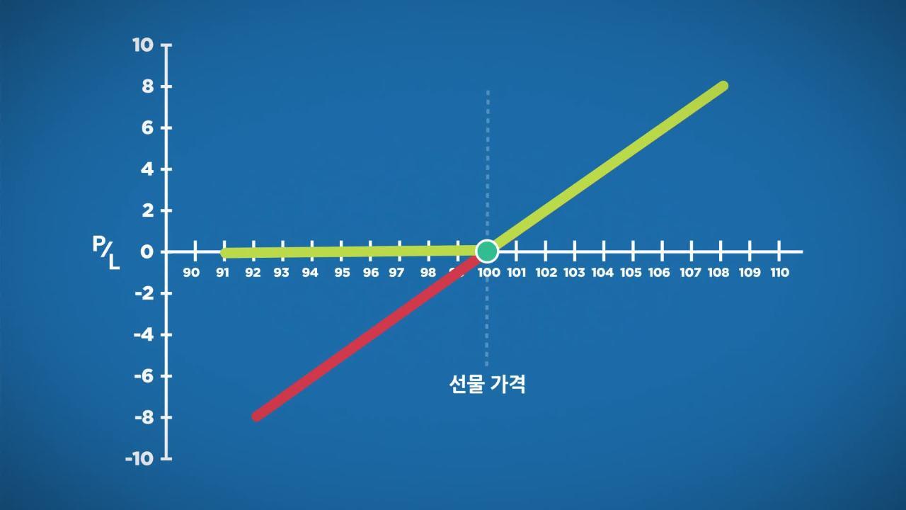 콜옵션의 해설(매도 및 매수) - CME Group