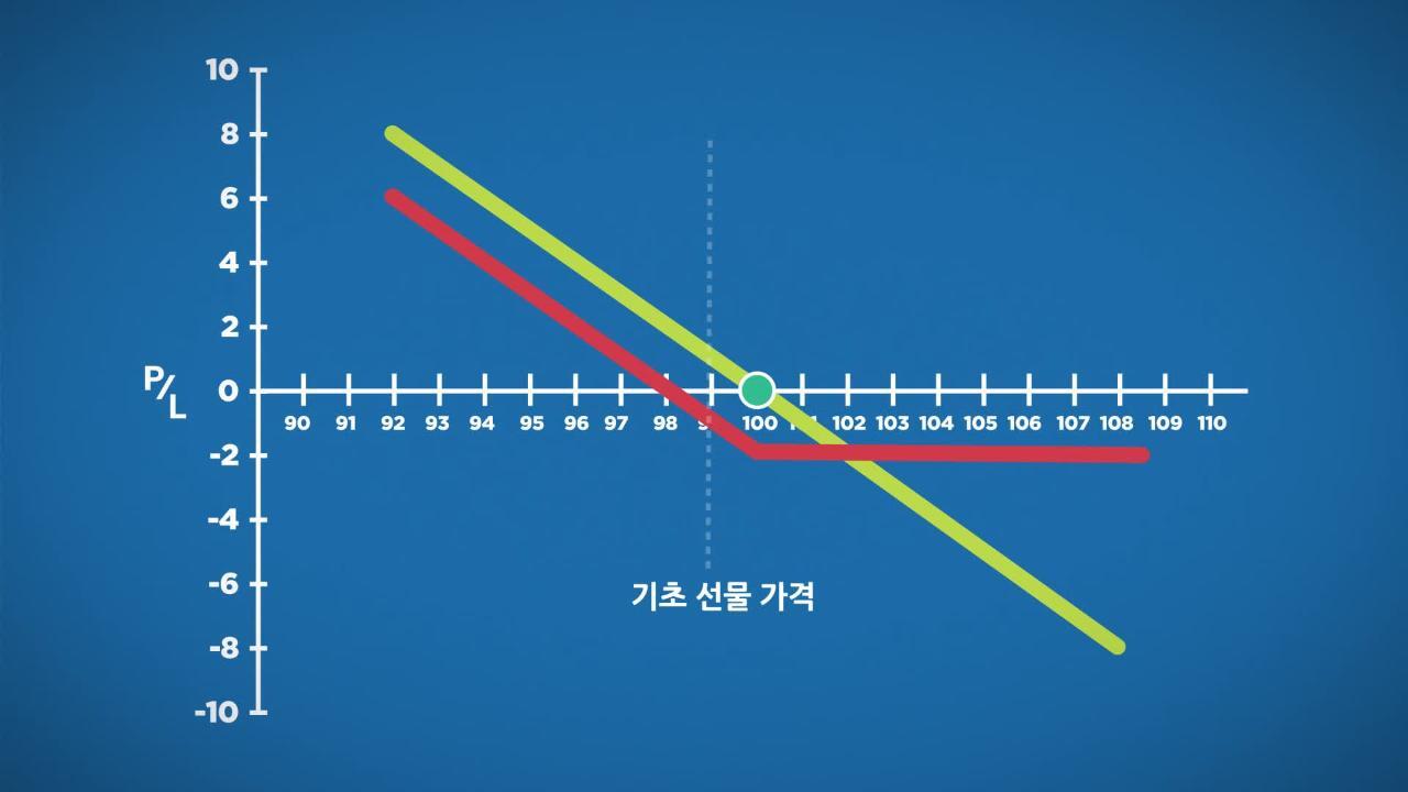풋옵션의 해설(매도 및 매수) - CME Group
