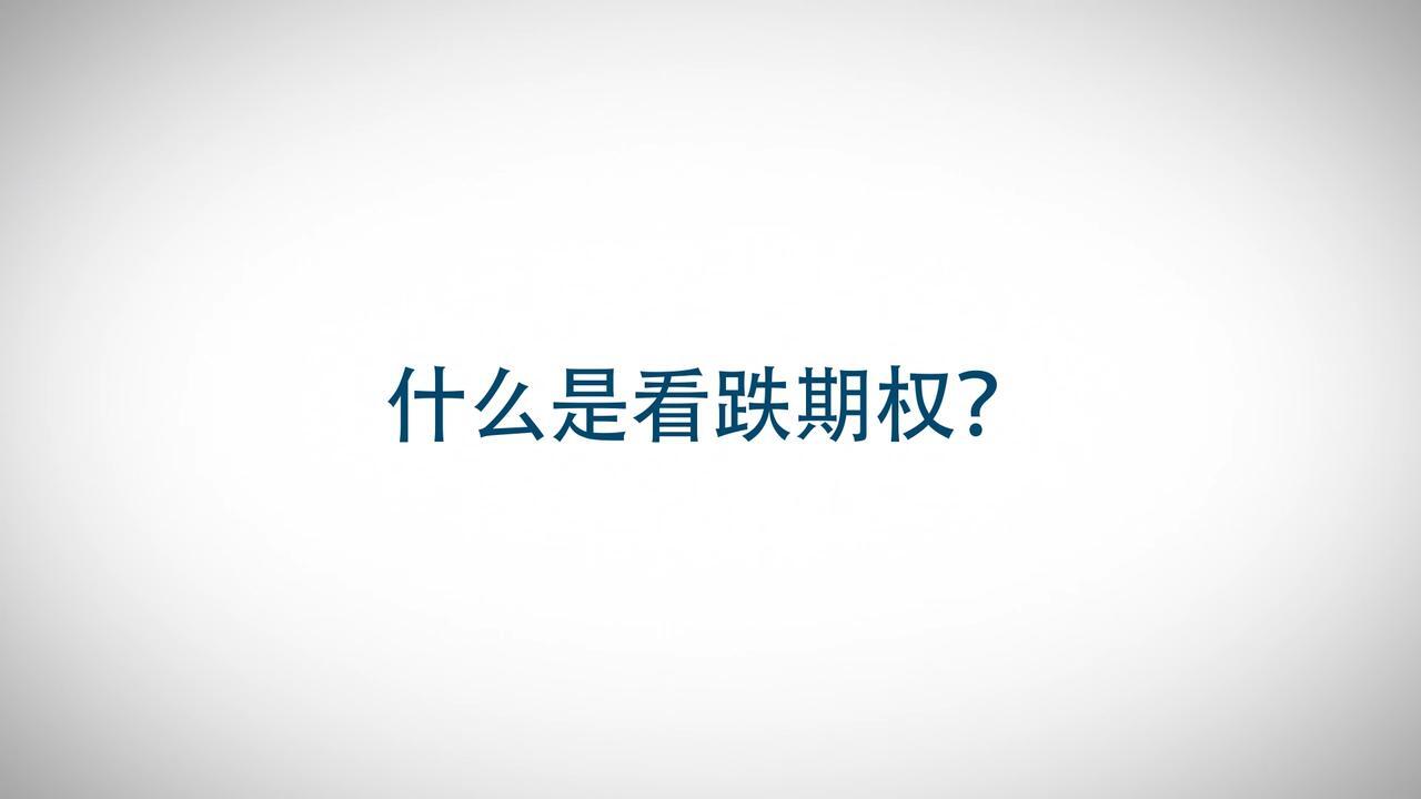 看跌期权- CME Group
