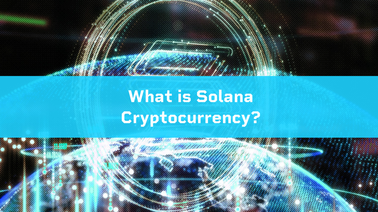 Solana vs. Bitcoin vs. Ethereum: How Do They Compare? - OpenMarkets