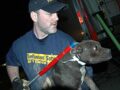 Ohio Dogfighting Raid B-roll