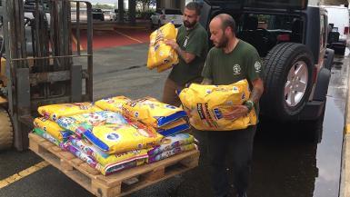 HSI Provides Food for Cats and Dogs Impacted by Hurricane Irma