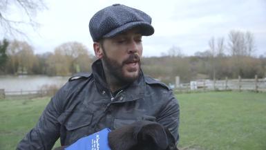 HSI Dog Meat Farm Rescue Pete Wicks Interview