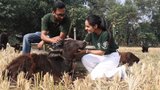 Humane World for Animals - Global Highlights Broll