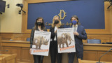 First trophy hunting import/export ban bill proposal in Italy
