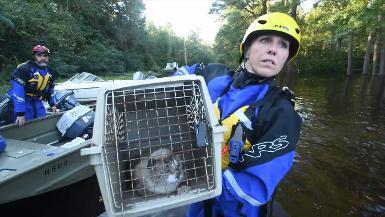 Animal Rescue Team: Hurricane Florence Boat Rescues; Horry County, SC