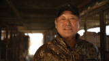 HSI closes 18th dog meat farm in South Korea - Farmer interview - media b-roll