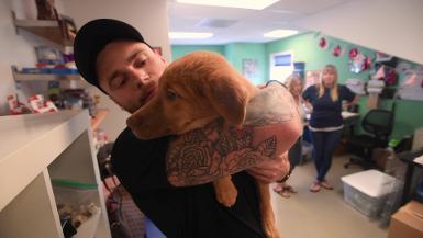 Gus Kenworthy Adopts Korea Dog Birdie Broll - Media Download