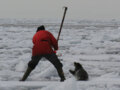 Seal Hunt (2006)