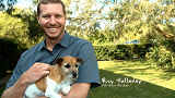 Roy Halladay's "Spay and Neuter Your Pets" PSA