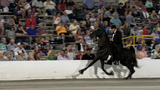 Tennessee Walking Horse Celebration media b-roll - Aug 2024