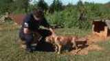 Alabama Dog Rescue B-Roll