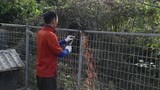 S. Korea Dog Farm Removes Cages -- Media Footage