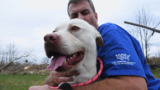 The Humane Society of the United States deploys to Kentucky to rescue animals impacted by the deadly tornado