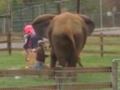 Natural Bridge Zoo:  Asha the Elephant