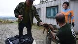 S. Korea Dog Meat Puppies and Mama Dogs Heading to the U.S. -- Media Footage