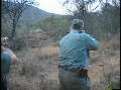South Africa Canned Hunt B-roll