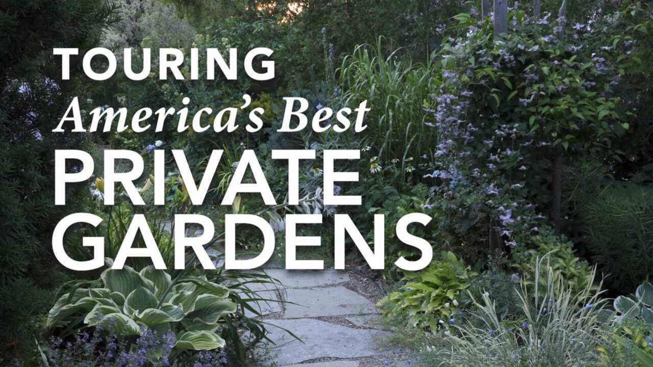 Tour a Collector’s Garden Filled With Artful Plant Combinations