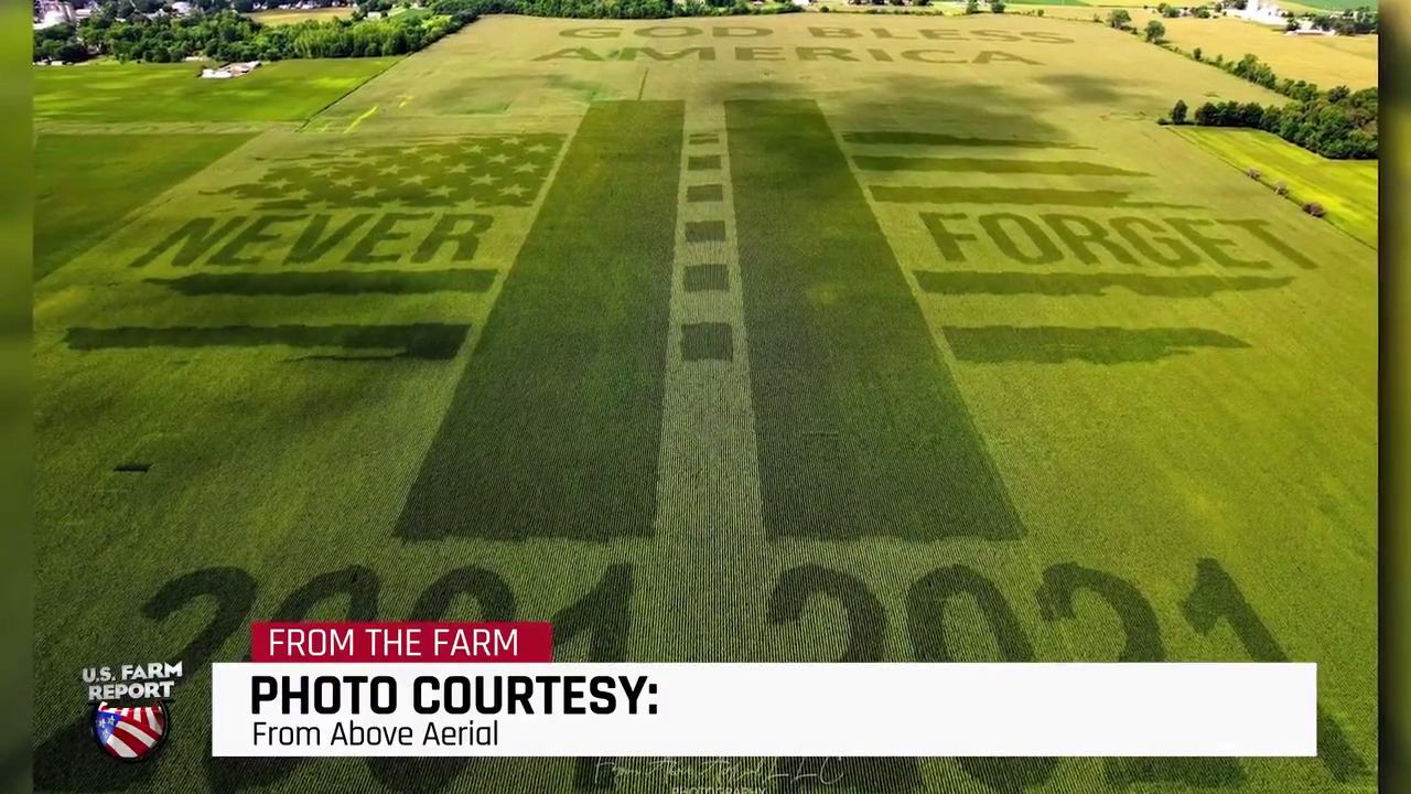 Field of Art: An Ohio Farmer's Life-Size Tribute to 9/11