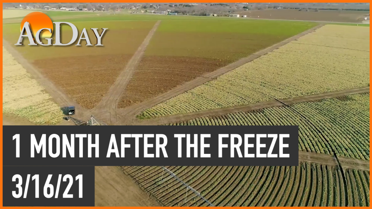 AGDAY Farm Journal TV