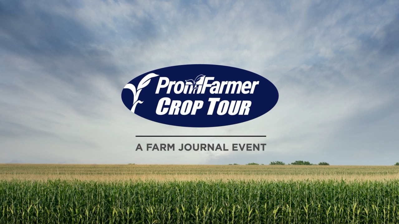 ICYMI: Pro Farmer Crop Tour Highlights