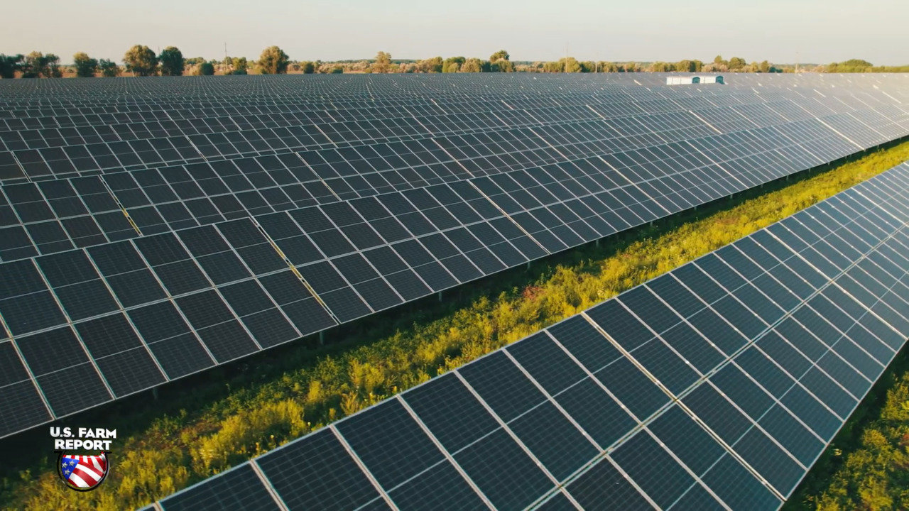 $4,500 Per Acre Plus a Signing Bonus? What Solar Companies Are Now Offering Farmers To Lease Their Ground