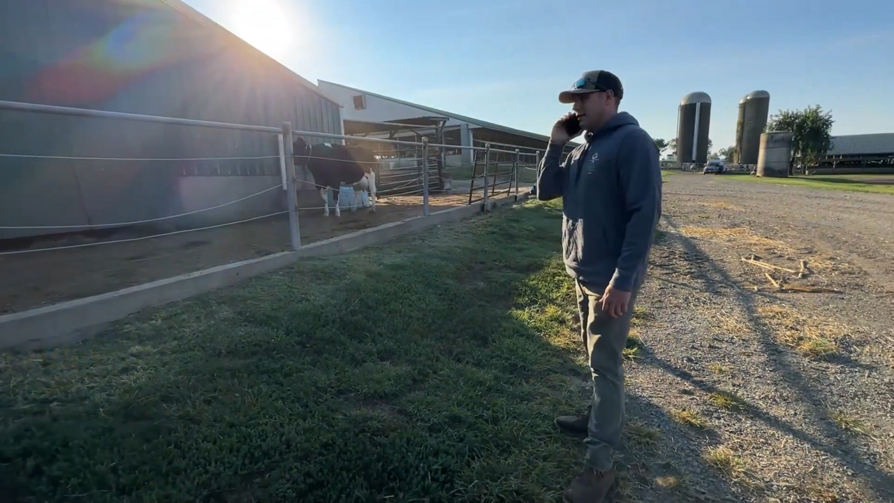 At Just 31 Years Old, He Bought The Dairy Farm From His Parents. And In The  1st Year, The Growth Has Been Incredible | AgWeb