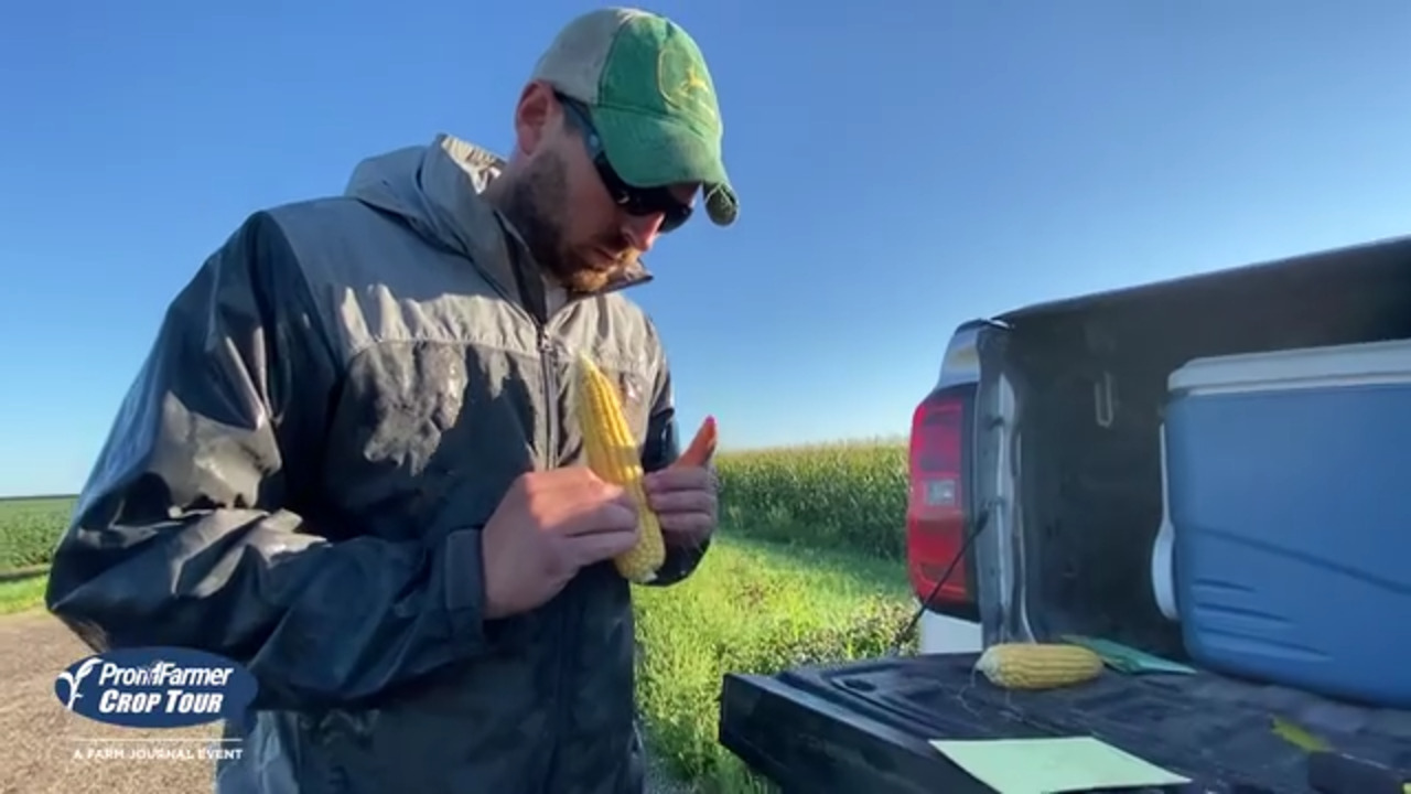 Behind-the-Scenes Look: How Pro Farmer Crop Tour Scouts Gather Data