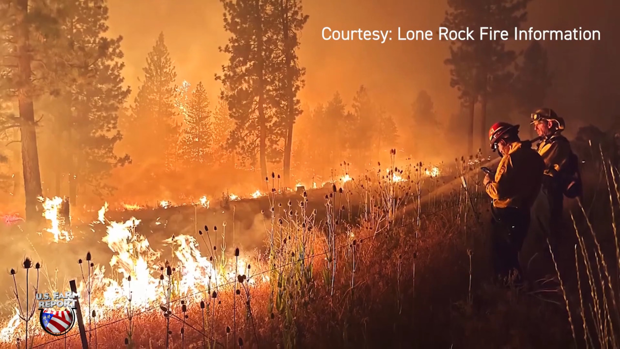 Oregon Ranchers Are Continuing to Battle Grueling Wildfires as Financial Losses Mount