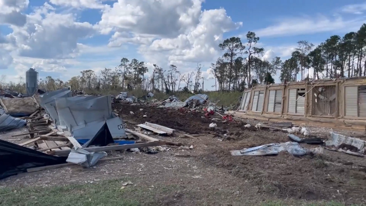 Georgia Farmers Say Hurricane Helene is Most Catastrophic, Costly Storm Ever, and the Damage is Staggering