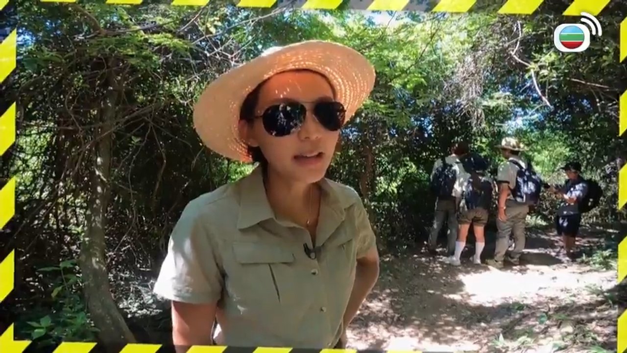 Episode 14