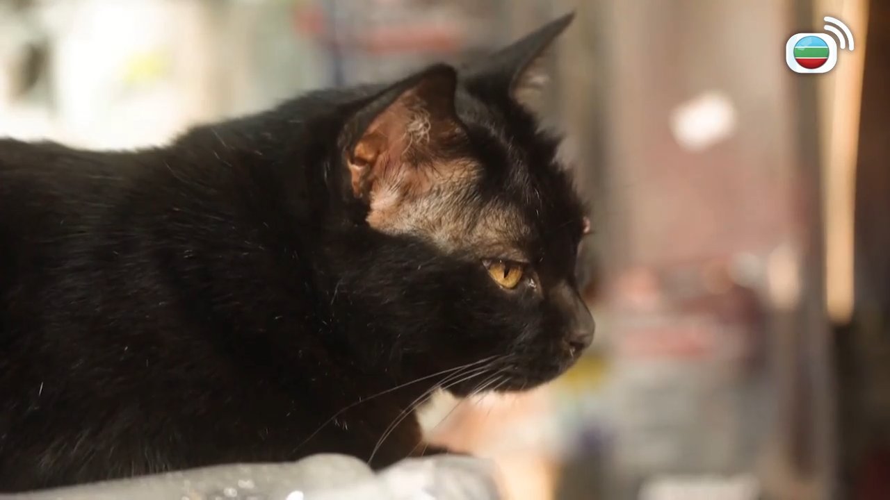 第04集
