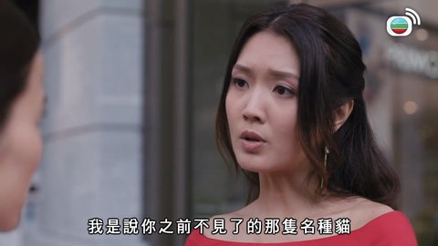 Tập 26