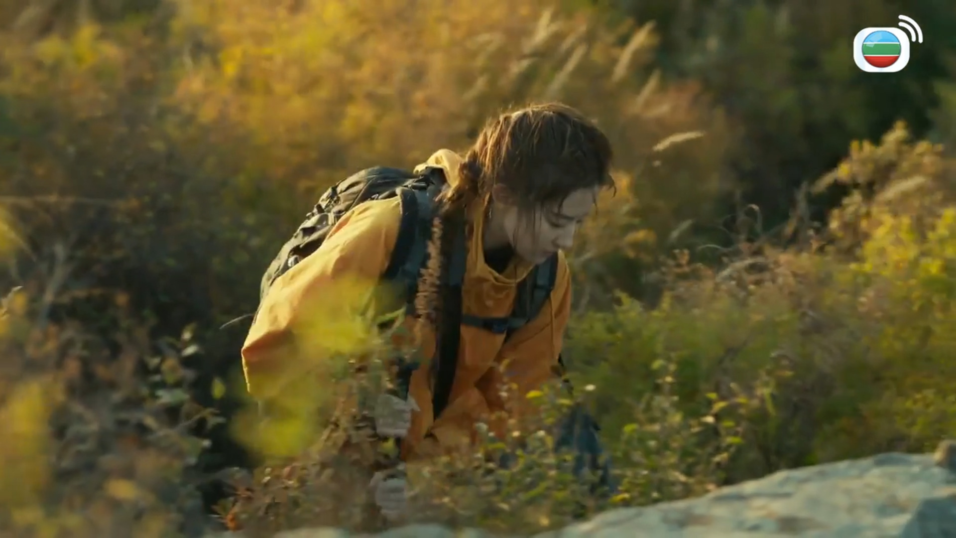 玫瑰的故事-The Tale Of Rose