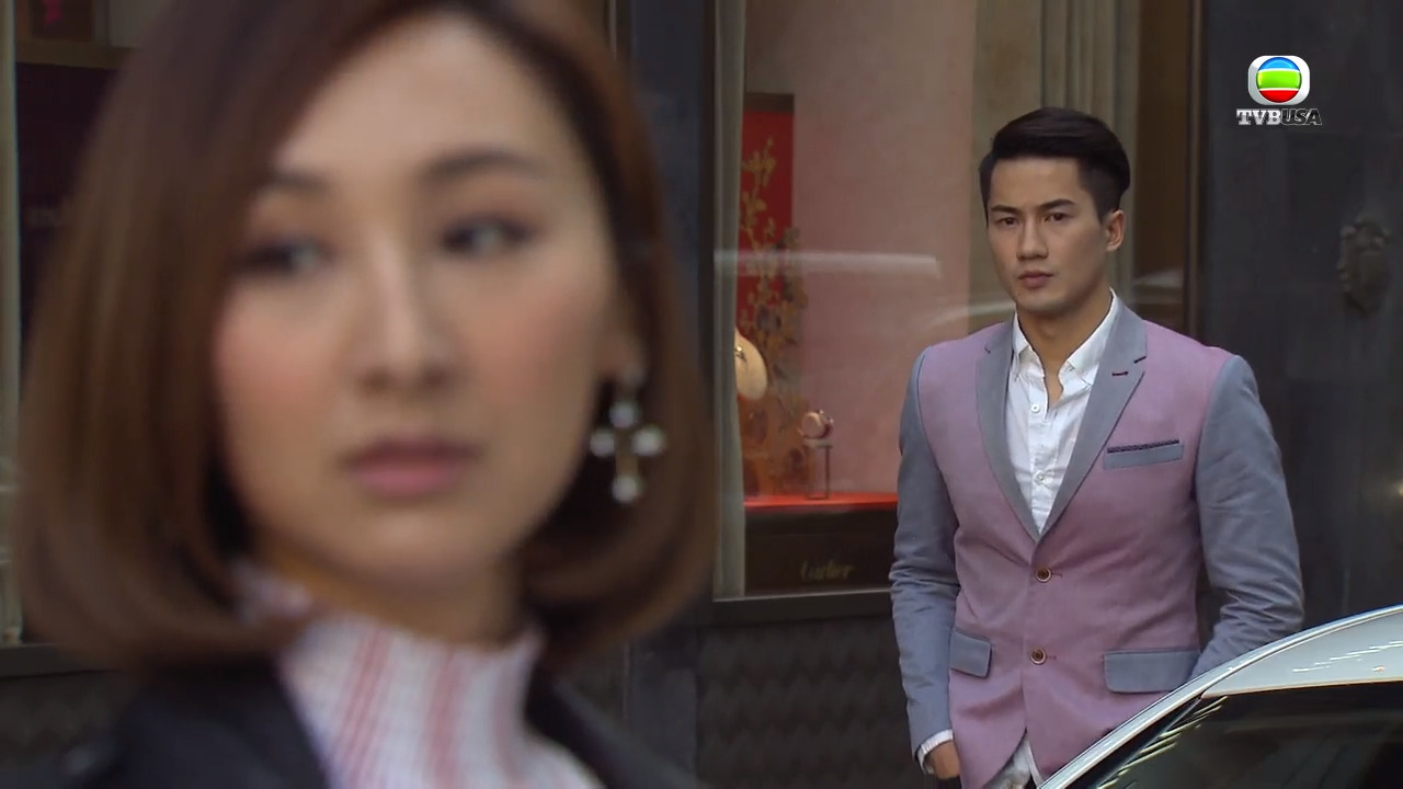 My Commissioned Lover-婚姻合伙人