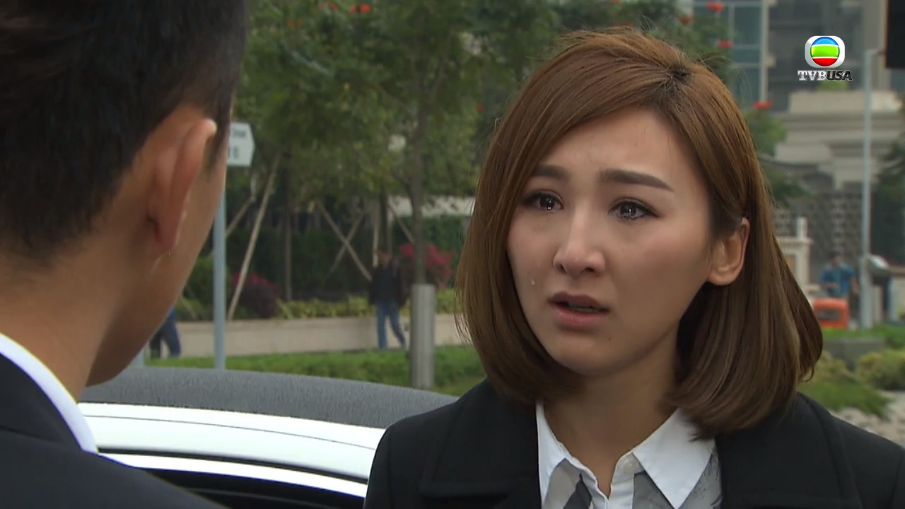 My Commissioned Lover-婚姻合伙人