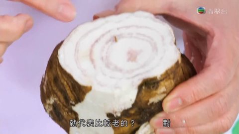 第04集